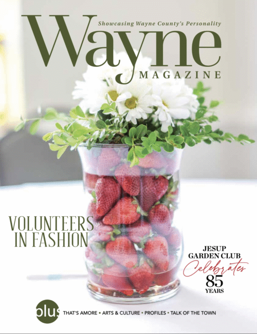 Wayne County Magazine - Single Copy